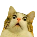 [sticker](media:AAMCAgADHQJAQwEmAAELqz1e8dXcY6iVPId2qcoAAT-RHG5JHwMAAqoBAALxQr8FsfKNqQa4I336d4QqAAQBAAdtAAOwIwACGgQ@telegram)