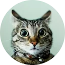 [sticker](media:AAMCAgADHQJAQwEmAAEMSpBfhQABxW9DxLz3kDCzCBh3EsG1TY8AAqgBAALxQr8Fpd9m495PZIMMP4QqAAQBAAdtAAN5MAACGwQ@telegram)