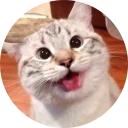 [sticker](media:AAMCAgADHQJAQwEmAAEMSv1fhl3awXeLY8QM2Y9avwg3wJAFGgACsAEAAvFCvwVMi97gsTY8gC2ChCoABAEAB20AAwwfAAIbBA@telegram)