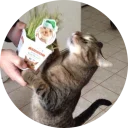 [sticker](media:AAMCAgADHQJAQwEmAAEMYypfq7sCGcKm7Ab0fgABrmKJrphc7GsAAgkFAALxQr8FdzhEPRIxM2X734IqAAQBAAdtAAO9JAACHgQ@telegram)