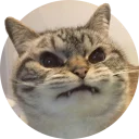 [sticker](media:AAMCAgADHQJAQwEmAAEMkGpgmLfLYCW7DQop6x67WcJOd6ntzAACnQUAAvFCvwXSIZMbS2QhJxn1Rw0ABAEAB20AA0EOAAIfBA@telegram)