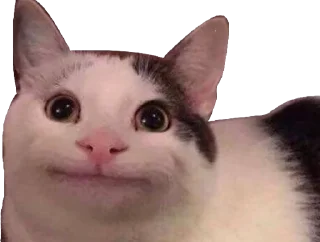 [sticker](media:AAMCAgADHQJCTFSvAAI7oGEE-pLhfDoscwlV9-nppIgWN_POAAJ2AQACwwnwA4X_TkhNjMuqAQAHbQADIAQ@telegram)
