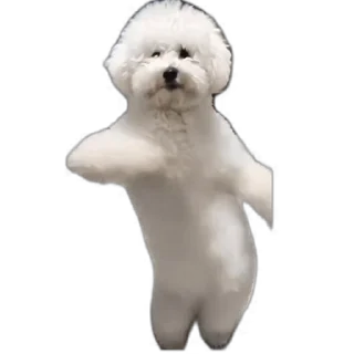 [sticker](media:AAMCAgADHQJDr2X7AAEBaLVmd3j6CCRfNEbrWioQwXoDRaTWkwACEEcAAgG_CEjJoYuExhPc_gEAB20AAzUE@telegram)