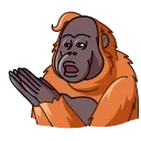 [sticker](media:AAMCAgADHQJDr2X7AAEBpWNokiIpHu9nJ6ybUuNdrDS-htzEHwACQAEAAlKJkSM2vVjaS6yQ6AEAB20AAzYE@telegram)