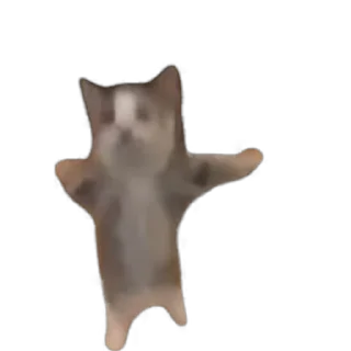 [sticker](media:AAMCAgADHQJOqxgWAAJwq2mmddAHqEspIe-Ya70Gd7v8mC4JAAIkPwACVQNoSAFb2fiZy157AQAHbQADOgQ@telegram)