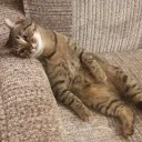 [sticker](media:AAMCAgADHQJWtdtwAAIU-WCL0jPFbkHLK3c8uCJOVAPbkvpZAAKdCAACXAJlA9VtG_GlNWGFy9QyDgAEAQAHbQADopwAAh8E@telegram)