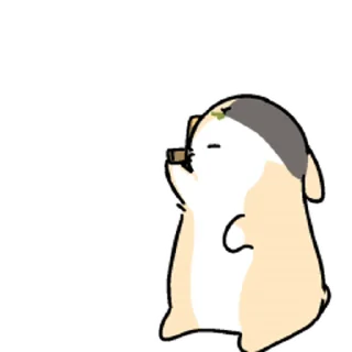 [sticker](media:AAMCBAADHQI9ls-AAAEaWjllUth7m_xJckVj277PbhvQTB9CfwACGwsAAkE7IFKDaFEmi5jGAAEBAAdtAAMzBA@telegram)