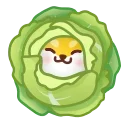 [sticker](media:AAMCBAADHQJDr2X7AAEB0UFqZH2784mLQVy-WNJq4d4jcYwYTAAChxwAAsNRGFAxQckLuOvnPgEAB20AAz0E@telegram)