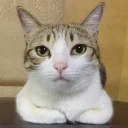 [sticker](media:AAMCBAADHQJQ4sFGAAIGTGE12UUoJ6QLytvjcP28ngupiixSAAIyAAPOOQgNMRIlrZ64zI4BAAdtAAMgBA@telegram)