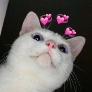 [sticker](media:AAMCBAADHQJQ4sFGAAIIeGFJa6qH5IEk1WXPQkZzHrJurqjIAAJ-AAPOOQgNpNTC_rQg840BAAdtAAMgBA@telegram)