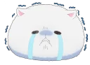 [sticker](media:AAMCBQADHQI-bPsfAAED-9xgF9yYDjPwWIHmmRJDlVzF-ijb7AACIQADiewpA-4MF03Is-jr14mzMgAEAQAHbQADqSAAAh4E@telegram)