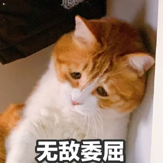 [sticker](media:AAMCBQADHQI-bPsfAAEDZFhegEt1B-we9r4P1LdMpo_zHeBSYQACIgADxbC6Hwx4HBPra9BrdWz5MgAEAQAHbQADhBoAAhgE@telegram)