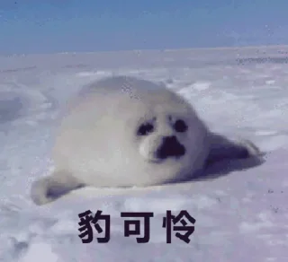 [sticker](media:AAMCBQADHQI9ls-AAAEUVMteT7IS8P4BZK36Jmtc0q9wwlOlBAACKwADpd1lNpLi6pxGN6Do1J0lMwAEAQAHbQADjmUAAhgE@telegram)