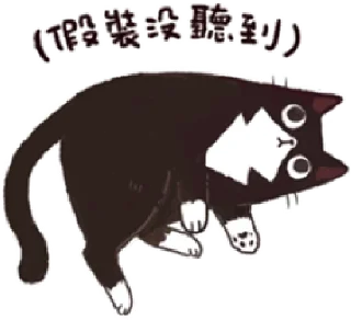 [sticker](media:AAMCBQADHQI9ls-AAAEWJOhf8CaJbxbUHQoTVgLXk0VP8pHV1AAC7QADT4K5V7eAR-Fd2L0E0RLJbXQAAwEAB20AA1xHAAIeBA@telegram)
