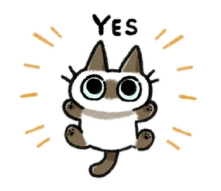 [sticker](media:AAMCBQADHQI9ls-AAAEXutRgnN67f0TL9_yJEX6UUYMkzFiP1gACKgADBzrBJfvkVShl02aWztP2MgAEAQAHbQADGgADHwQ@telegram)