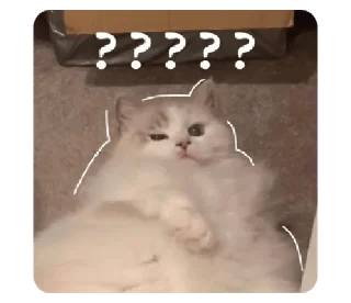 [sticker](media:AAMCBQADHQI9ls-AAAEZYotiXu8mpXaz6s3xqtMgQvJrKVeLJQAChAIAAmkBwVfYk_wZ6AtEhAEAB20AAyQE@telegram)