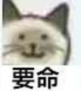 [sticker](media:AAMCBQADHQI_K-iKAAEC-eVekDTwqrobxn0P2oN73Fvp0EeTmgACHQADgVAVHQRafgKT5q1rTR0mMwAEAQAHbQADmI0AAhgE@telegram)