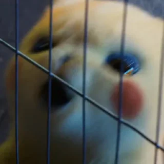 [sticker](media:AAMCBQADHQJAQwEmAAEL3l1fEU5whk9hqVpmHqjw82ExMyL-KgACSgUAAlDOagH54XBFD_Hy2Gf39zIABAEAB20AA14yAAIaBA@telegram)