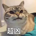 [sticker](media:AAMCBQADHQJAQwEmAAELQ81eahPGTqeCb3dV0deMy9uuCr-uZAACgQIAAoIVPQj0RlOebLfUdbV2yjIABAEAB20AA7oOAAIYBA@telegram)