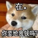 [sticker](media:AAMCBQADHQJAQwEmAAELbpterCamVAZ_0S8OYz8yhf81FYwCkQACkwIAAoIVPQjy6Mm8LC0a9c9ZyjIABAEAB20AA2wOAAIZBA@telegram)