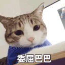 [sticker](media:AAMCBQADHQJAQwEmAAELdKtevjLu3twXV1aQ8f9K_KiRHze-XQAC0QIAAoIVPQib7u_ne-HVwQxjyjIABAEAB20AA0YYAAIZBA@telegram)
