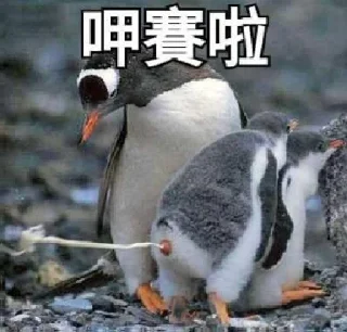 [sticker](media:AAMCBQADHQJAQwEmAAELxzhfArgP5eI7vBf8S4YtZUKbATUfJgACnAcAAslDtQkHwyfRjwW0poDpyWt0AAMBAAdtAAP4WwACGgQ@telegram)