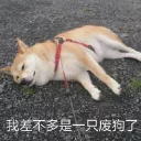 [sticker](media:AAMCBQADHQJCTFSvAAIvl2C-7yZ59VZp0QIPhS27A91-Vod4AAIlAAMRMKMLOzZ4evnVkXYt8NQyAAQBAAdtAAO6BAACHwQ@telegram)
