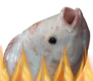 [sticker](media:AAMCBQADHQJCTFSvAAJDrmpcveey7v1nAAKolG0MFFO7EIMcAALPEAACTPhxVSf4IrBzLLm4AQAHbQADPQQ@telegram)