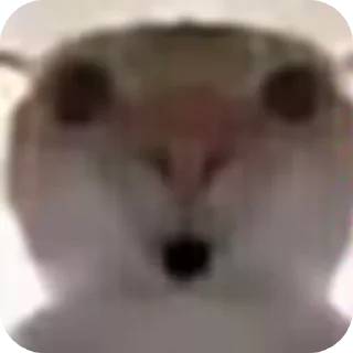 [sticker](media:AAMCBQADHQJDr2X7AAEBgElnJdvyn1Nk5zfqC3ZhmQUJqr7JFwACZA0AAg_rGFWZasLmvy-lJAEAB20AAzYE@telegram)