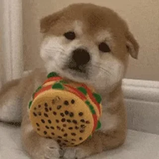 [sticker](media:AAMCBQADHQJDr2X7AAEBmpln4thXrtzlYWRrSeMCDlns-i9MRQACygQAAlTwCVVDZH2LJI7okAEAB20AAzYE@telegram)