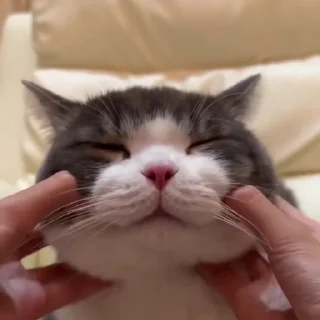 [sticker](media:AAMCBQADHQJDr2X7AAEBnUVn8VkvteTi3i35mqPr6pyx-3wbyQAC3g0AAsnPsFb-1yDerPELWwEAB20AAzYE@telegram)