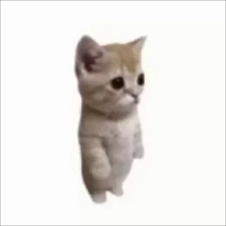 [sticker](media:AAMCBQADHQJDr2X7AAEBo99oUAgkYP3Nj9HTY3iBNJtCNWUWaQAC1hMAAvtpuFZcoJCYp4nnMwEAB20AAzYE@telegram)