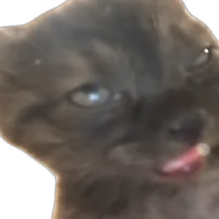 [sticker](media:AAMCBQADHQJDr2X7AAEBukJpfHE9g964G_UCcuUy_MFva4082AACQh0AAlQbIFfVR3mI6CtfMwEAB20AAzgE@telegram)