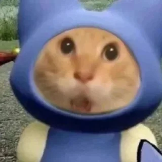 [sticker](media:AAMCBQADHQJDr2X7AAEBvG9piIBR8ecD6yQPjvMc54ZrKLt6HwACoRYAAoArmVQX3DMpIINTYgEAB20AAzoE@telegram)