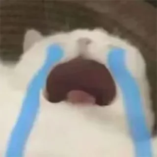 [sticker](media:AAMCBQADHQJDr2X7AAEBvGhph0SvKHhSpAUEPDlWTE3US8tBrwACVw8AAqkgAAFXcmEuJCdd2jgBAAdtAAM6BA@telegram)