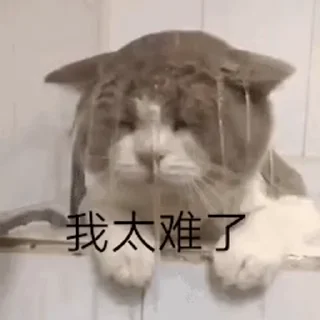 [sticker](media:AAMCBQADHQJDr2X7AAEBwBpptpYFu3N7WJNa2cQxpb-b5H3QzgACrg8AAoXvgVRtSoA6B4GtBAEAB20AAzoE@telegram)