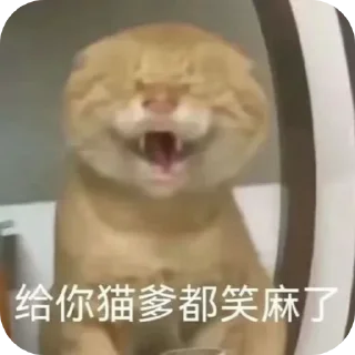 [sticker](media:AAMCBQADHQJDr2X7AAEBwCBpt9ELPx_AuPfEnLCdcuCtTDHj_AACqyAAAnnCwFXgJo9GershLAEAB20AAzoE@telegram)