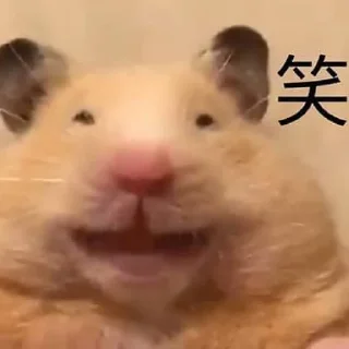 [sticker](media:AAMCBQADHQJJQlA8AAIQNF5Sg1ybOH6qi6bYEWEmxMyeqDnLAAJ6AAOoAuIuztPFfZEjFurhNl1qdAADAQAHbQADhzcAAhgE@telegram)