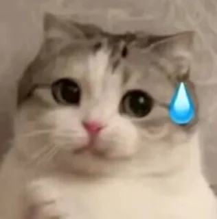 [sticker](media:AAMCBQADHQJPSdx3AAEDHyVnxwq_ZdIxKwABeGB9QE07QcAbCB4AAlKOAAKWSEBUD06vjmhA_1UBAAdtAAM2BA@telegram)