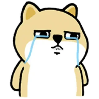 [sticker](media:AAMCBQADHQJWtdtwAAIK5mCKfWnr37lG475f-dOrnesqu3t6AALxXgEAAfbmUhsG46ChPGft6g9jXGx0AAMBAAdtAAMdSgACHwQ@telegram)