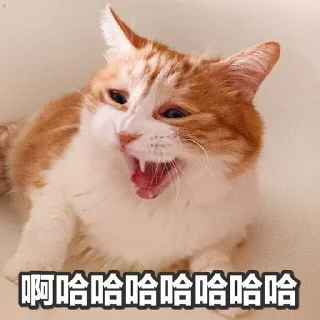 [sticker](media:AAMCBQADHQJWtdtwAAIqDGCSDH4Mh2_QJUHAXLeH4WluiWW_AAJDAAPFsLof1xiPGY69c5nN6PkyAAQBAAdtAAM2LQACHwQ@telegram)