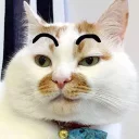 [sticker](media:AAQBABMCCBQwAATPckObWk7Zj2RcAAIC@telegram)