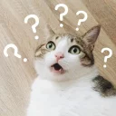 [sticker](media:AAQBABMKSAwwAAR8IPr2OyLBfypiAAIC@telegram)