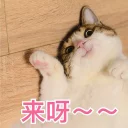 [sticker](media:AAQBABMS2wowAASpJon82tArw5NBAAIC@telegram)