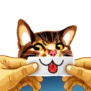 [sticker](media:AAQBABMS5tYvAATeCLvYS3792CskAAIC@telegram)