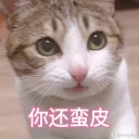 [sticker](media:AAQBABNSQAwwAAQg-yB1QCW4yXpeAAIC@telegram)