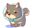 [sticker](media:AAQBABNTdN4vAAQMzU3lpW8flHsUAAIC@telegram)