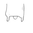 [sticker](media:AAQBABNbAfcvAAS_bX0c6hFxF0YLAAIC@telegram)