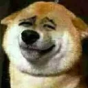 [sticker](media:AAQBABO23fYvAAS5qpKxLfYdw_IiAAIC@telegram)