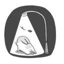 [sticker](media:AAQBABOPB_cvAAT98dNmqz5AiYYJAAIC@telegram)